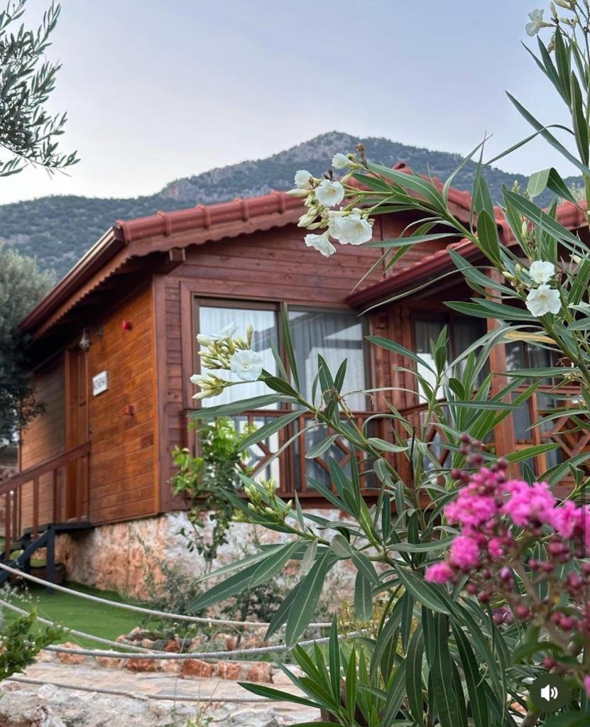 Doganin Ruhu Hotel & Bungalow Kas Exterior foto