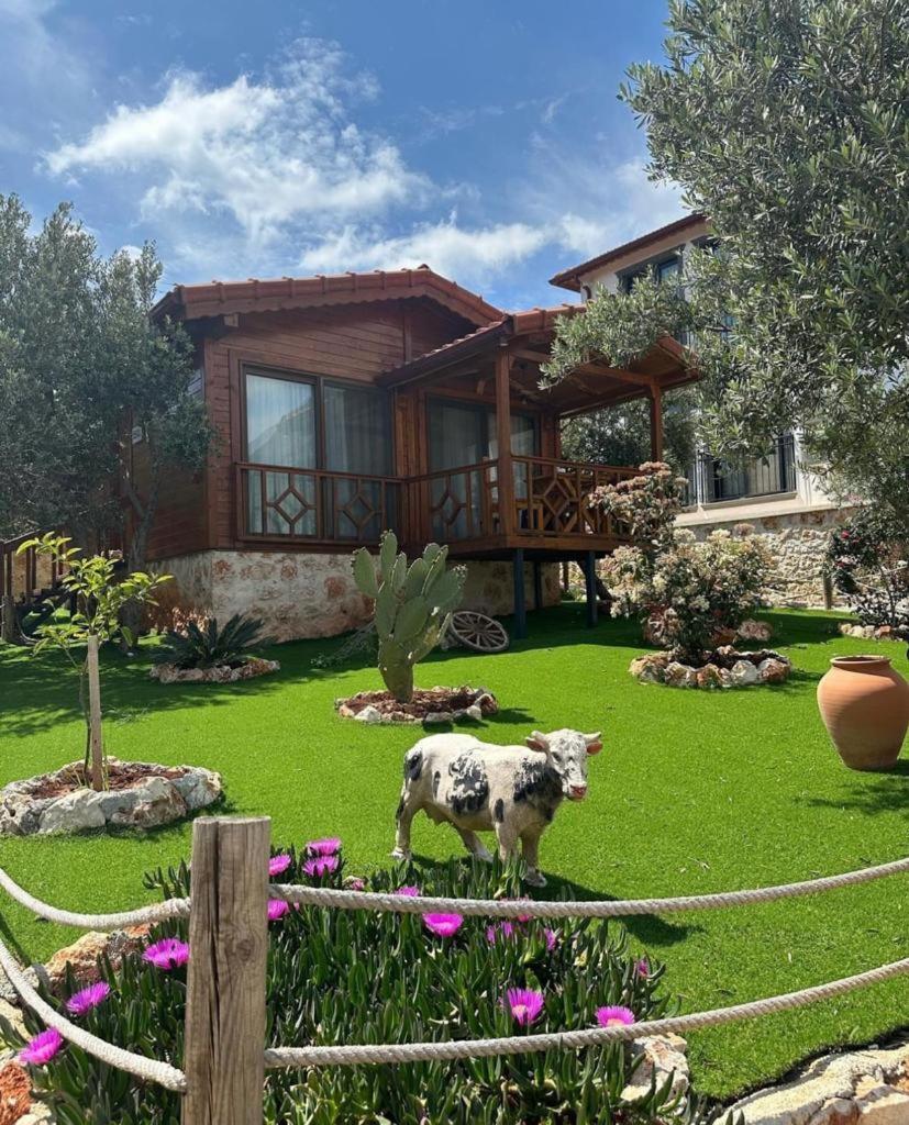 Doganin Ruhu Hotel & Bungalow Kas Exterior foto