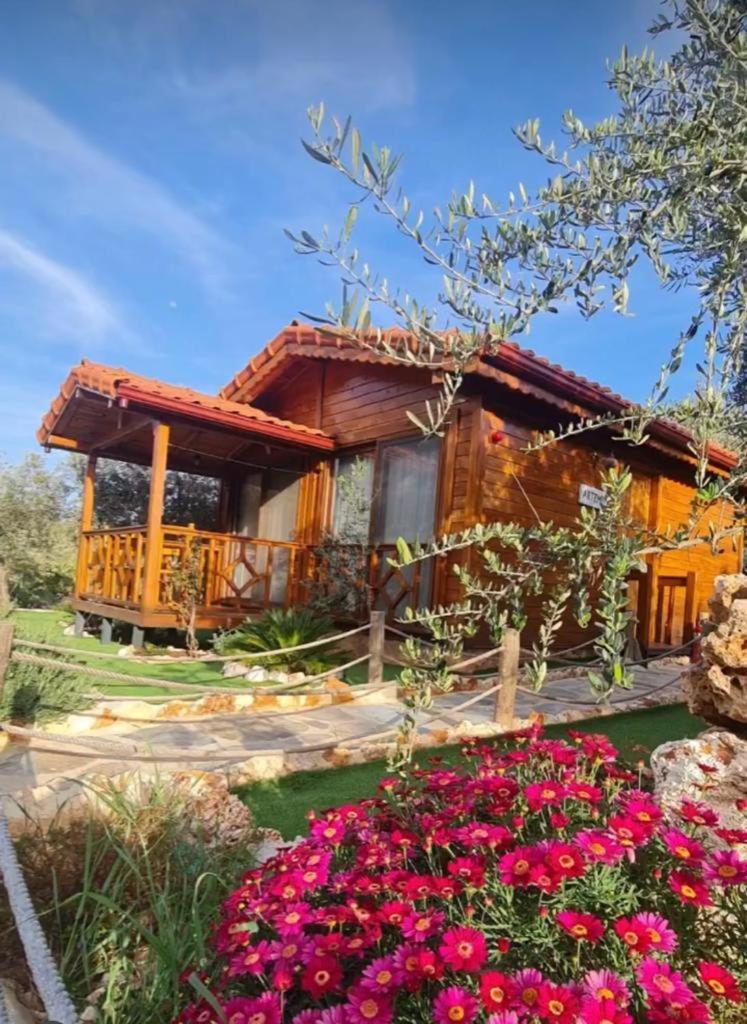 Doganin Ruhu Hotel & Bungalow Kas Exterior foto