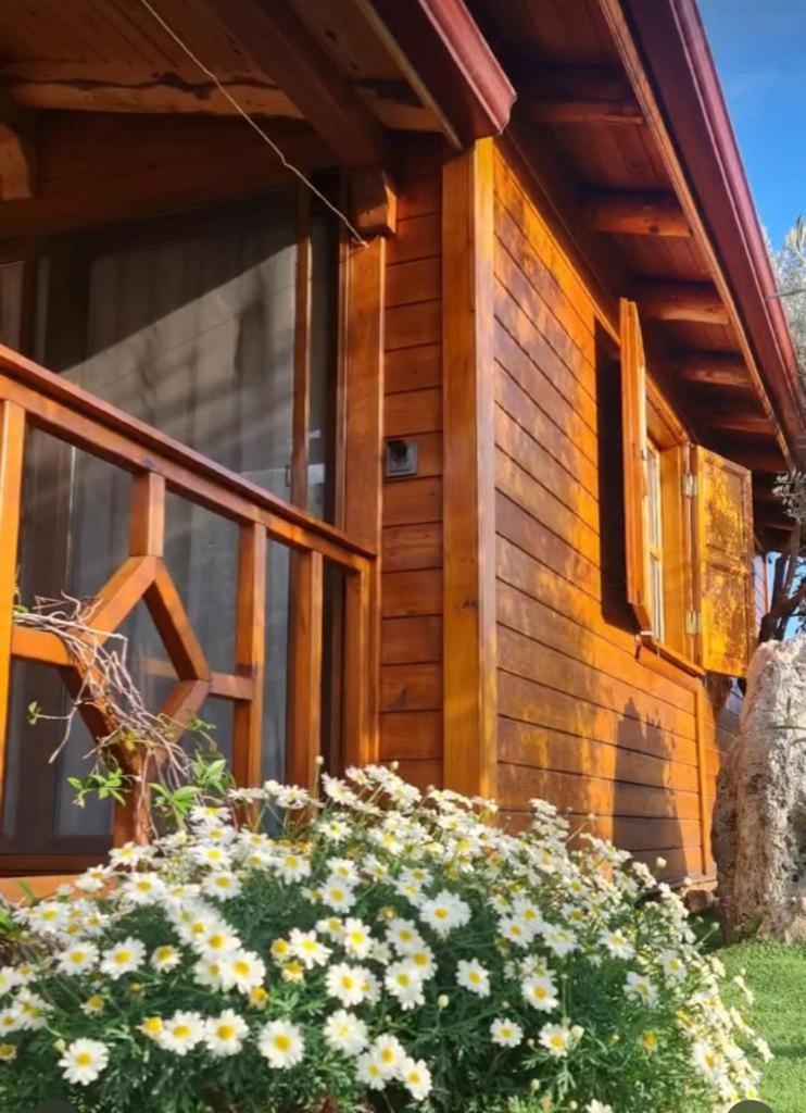 Doganin Ruhu Hotel & Bungalow Kas Exterior foto
